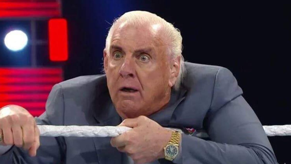 Ric-Flair-shocked.jpg