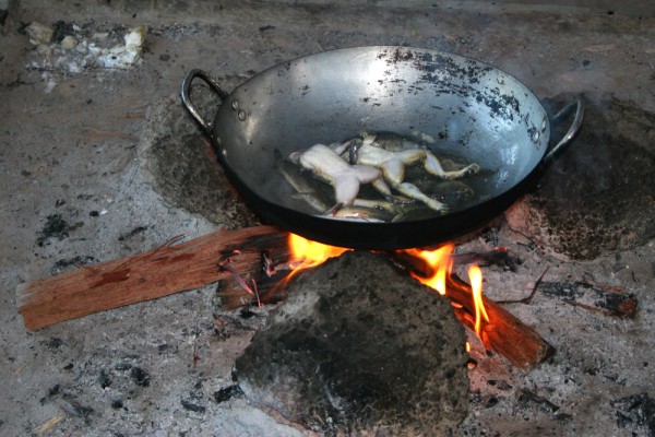 dead-frogs-fried-cambodia-600x400.jpg