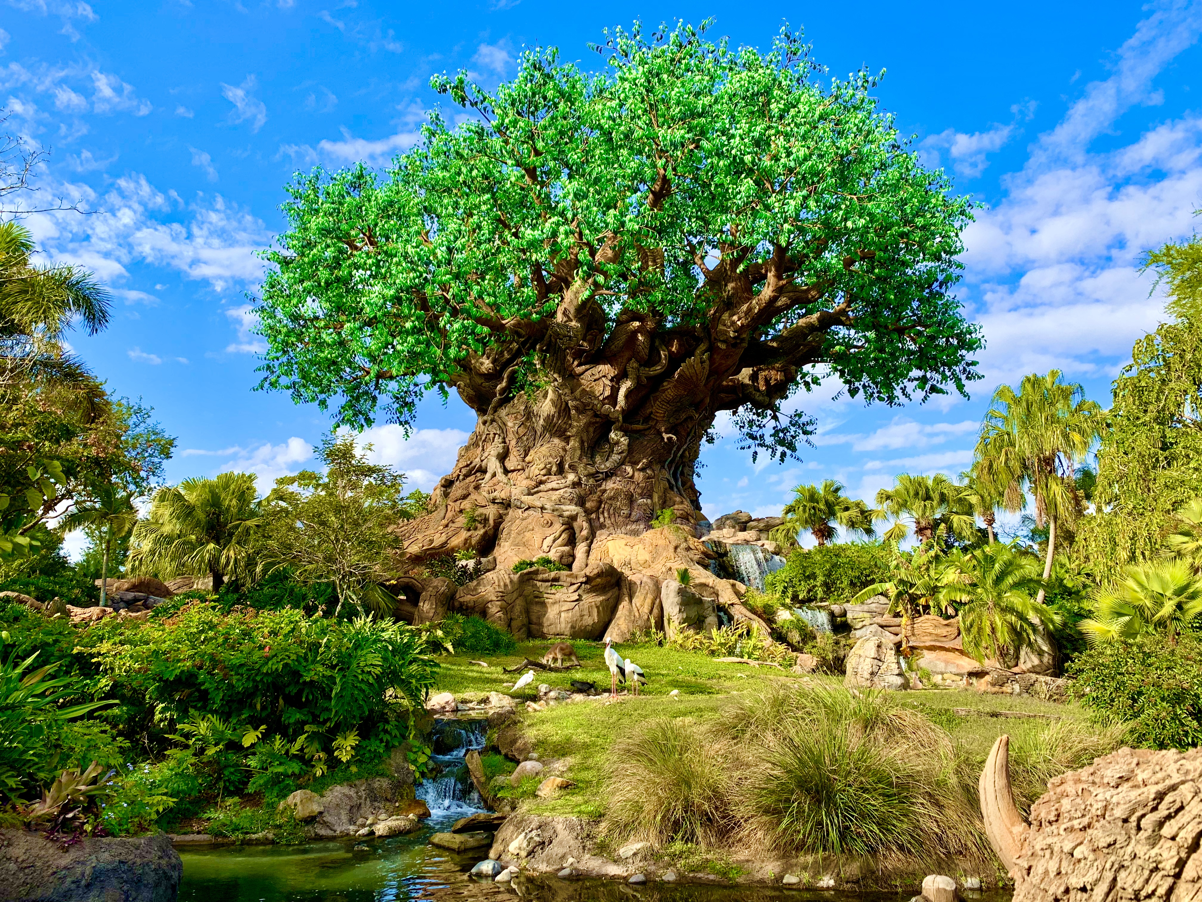 Tree_of_Life%2C_Disney%27s_Animal_Kingdom.jpg